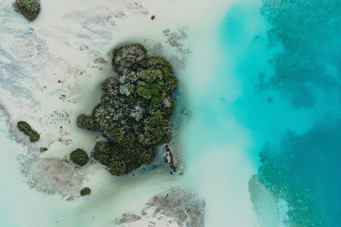 Bacalar Sunrise Stand Up Paddleboard Tour with Breakfast & Photos - Balneario Ecológico and That Protected-Nature Pause