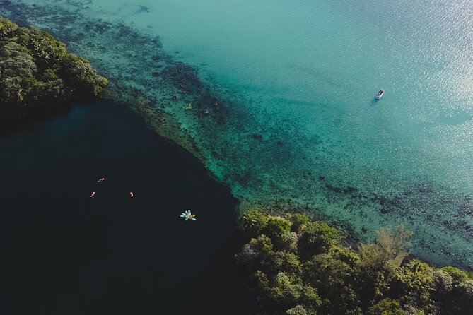 Bacalar Sunrise Stand Up Paddleboard Tour with Breakfast & Photos - Paddling the Lagoon’s “First Light” Zone
