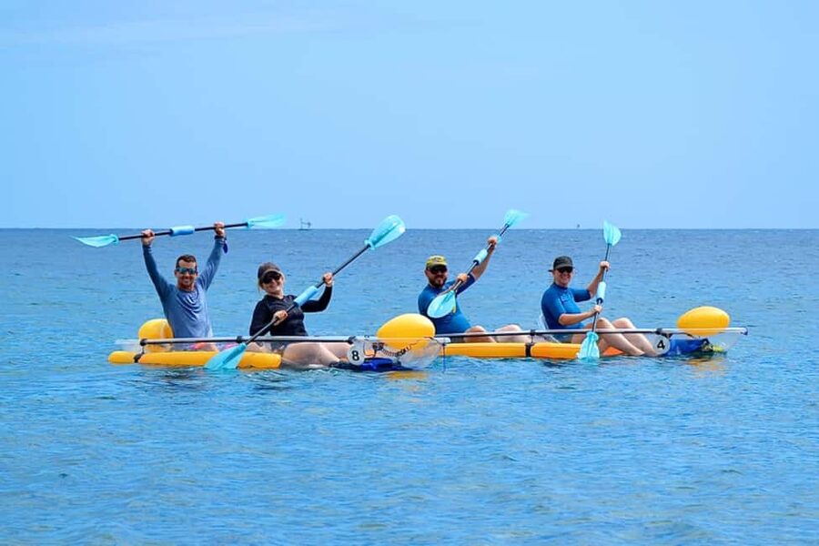 Bali/Amed: Transparent Kayak Experience - Reef Life You’re Going for: Corals, Fish, and Turtle-Spotting