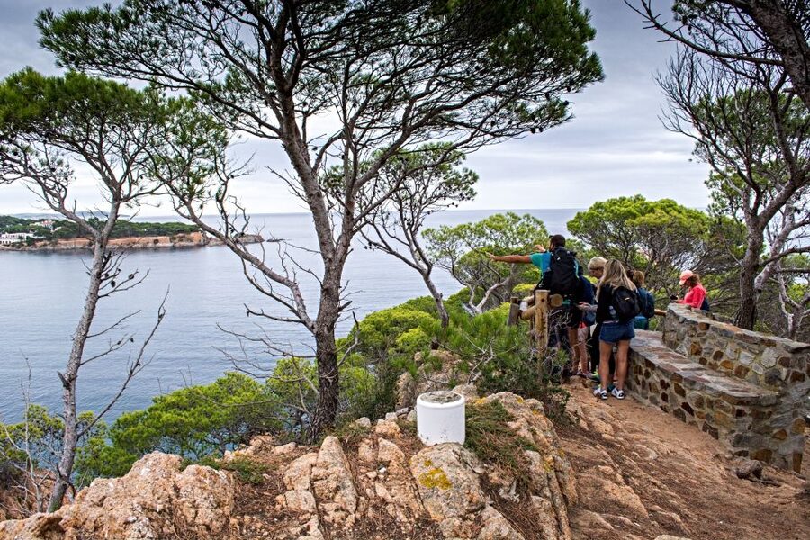 Barcelona: Costa Brava Hiking, Sea Kayaking & Lagoon Dipping - Key Things That Make This Tour Worth Your Day