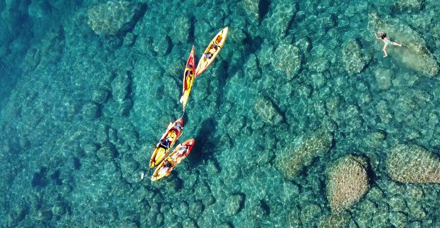 Barcelona: Costa Brava Kayak, Snorkel & Cliff Jump & Lunch - Snorkeling the Mediterranean: marine life is a bonus, not a guarantee