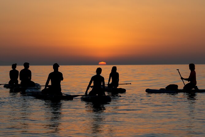 Barcelona: Sunrise Paddle Surf with Instructor and Photos - The 2-hour session: what the itinerary feels like on the water