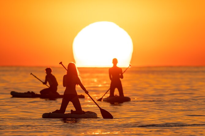 Barcelona: Sunrise Paddle Surf with Instructor and Photos - Price and value: is $36.04 worth it?