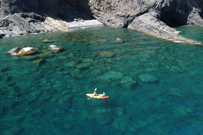 Barcelona Wild Experience: Kayak and Snorkel in Costa Brava - Key Highlights You’ll Feel Immediately