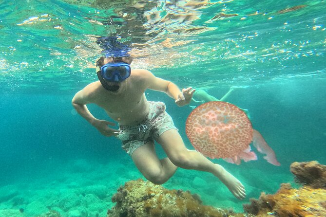 Barcelona Wild Experience: Kayak and Snorkel in Costa Brava - Snorkeling Session: Underwater Time Plus Optional Cliff Jumping