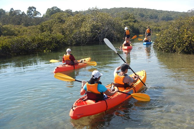 Batemans Bay Glass-Bottom Kayak Tour Over 2 Relaxing Hours - Where this tour fits in your Batemans Bay day