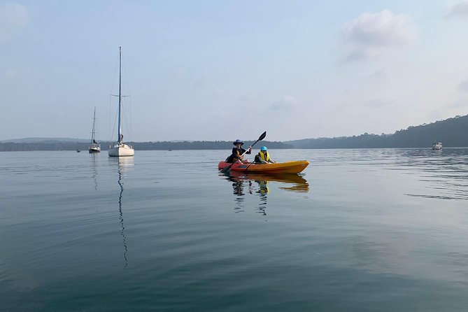 Batemans Bay Glass-Bottom Kayak Tour Over 2 Relaxing Hours - The water you paddle: calm sanctuary zones with mangroves and sand flats