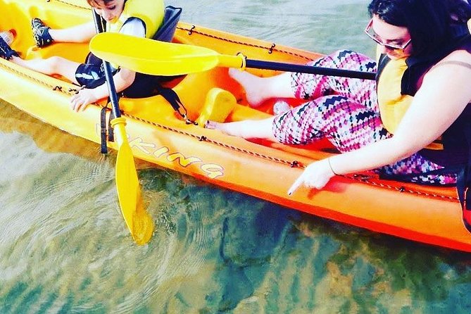 Batemans Bay Glass-Bottom Kayak Tour Over 2 Relaxing Hours - What you can spot: stingrays, crabs, and more