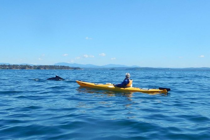 Batemans Bay Glass-Bottom Kayak Tour Over 2 Relaxing Hours - The guide experience: informative, encouraging, and fun