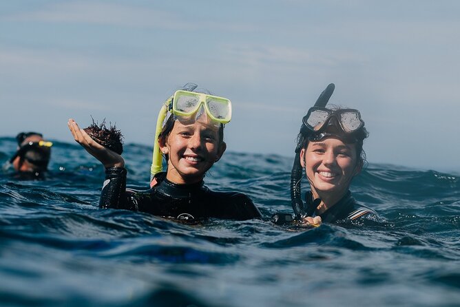 Batemans Bay Glass-Bottom Kayak Tour Over 2 Relaxing Hours - Understanding the stops: Region X and the Batemans Marine Park Sanctuary