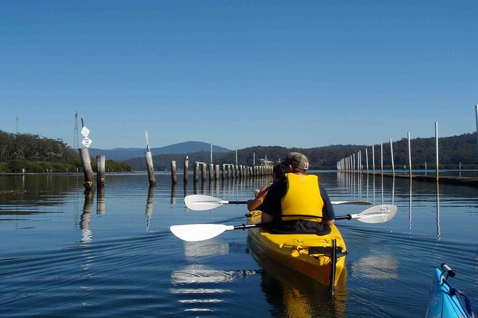 Batemans Bay Oyster Tasting Kayak Tour - Beginner-Friendly Paddling: What You Should Expect on the Water