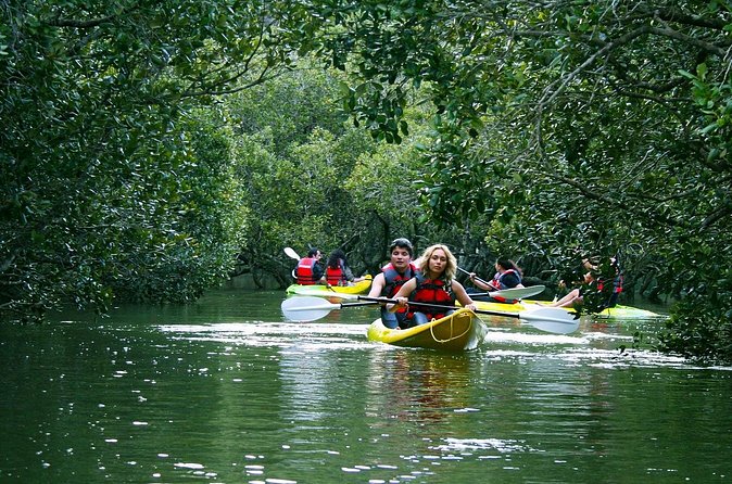 Bay of islands Waterfall Cruise Kayaking Tour - Beginner kayaking without stress: how the safety system really works