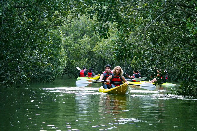 Bay of islands Waterfall Cruise Kayaking Tour - Mangrove forests and sea birds: where the paddle turns into wildlife time