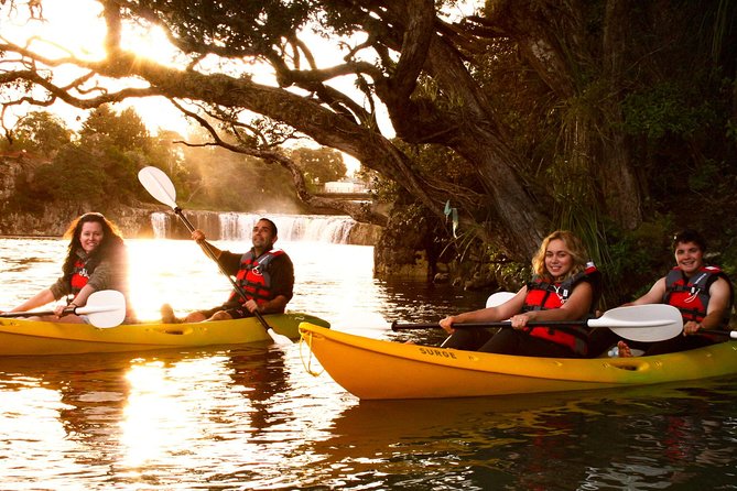 Bay of Islands Waterfall Explorer Kayaking Tour - The Mangrove to Waterfall moment: paddling up the Waitangi River