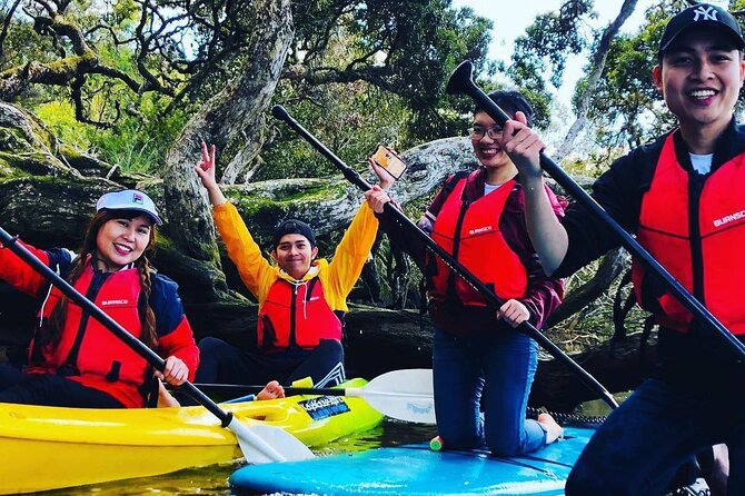 Bay of Islands Waterfall Explorer Kayaking Tour - Kayak or paddleboard: choosing the feel that matches your day