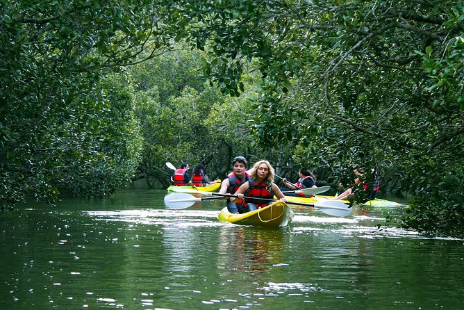 Bay of Islands Waterfall Explorer Kayaking Tour - Stop 2: Haruru Falls and why time at the base is the point