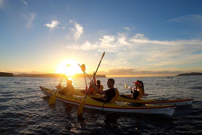 Beautiful Middle Harbour Sunriser / Guided Kayaking Private Tour - Key highlights at a glance