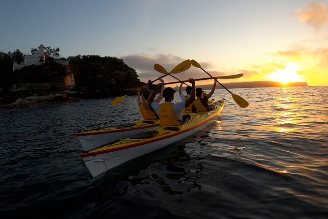 Beautiful Middle Harbour Sunriser / Guided Kayaking Private Tour - The kayaks and guide setup: stable, smooth, and actually comfortable