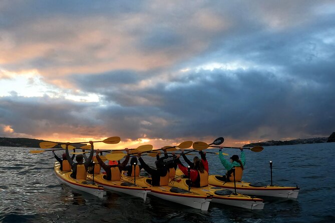 Beautiful Middle Harbour Sunriser / Guided Kayaking Private Tour - Weather and flexibility: how to think about the conditions