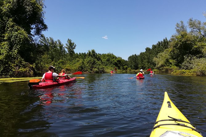 Belgrade Amazon Kayak Adventure - Key things that make this Belgrade kayak trip worth your time