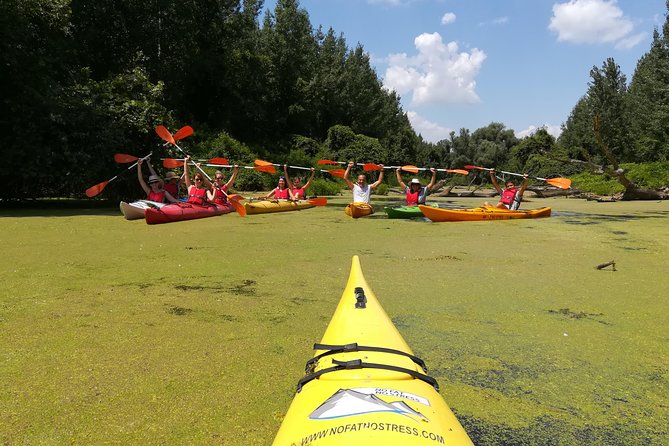Belgrade Amazon Kayak Adventure - What the guides actually do: from first strokes to a steady rhythm