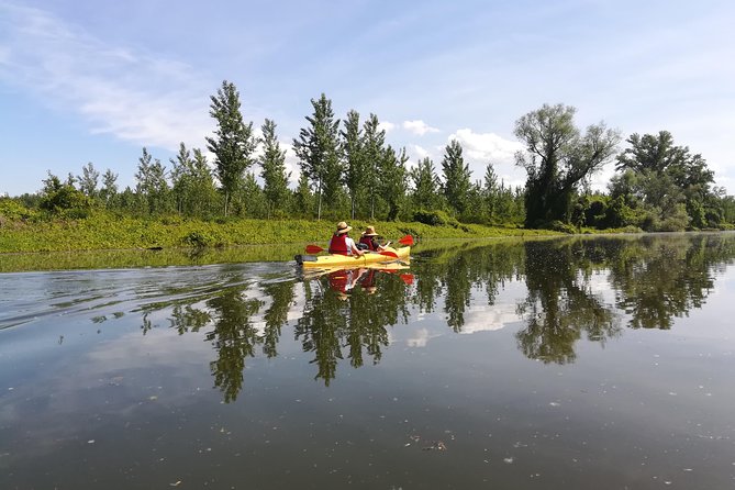 Belgrade Amazon Kayak Adventure - The wildlife experience: birds, small animals, and that quiet Danube feeling