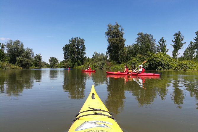Belgrade Amazon Kayak Adventure - Weather matters: when the trip runs and when it doesn’t