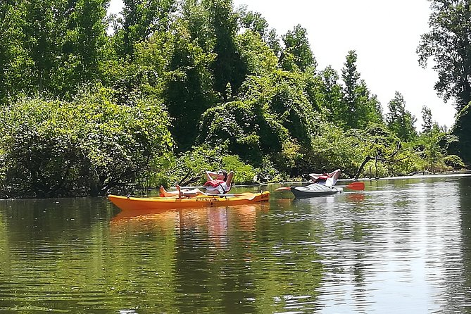 Belgrade Amazon Kayak Adventure - Where you start on Kej Oslobođenja 11a (and where you end)