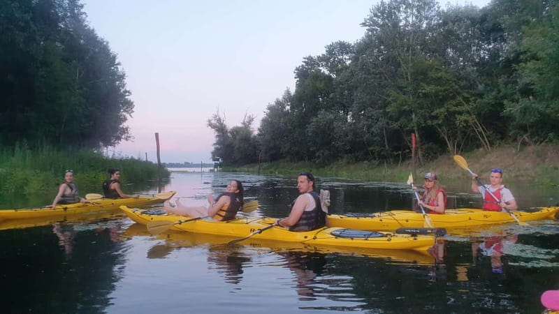 Belgrade: Great War Island Kayak Adventure - Key highlights you’ll feel on the water