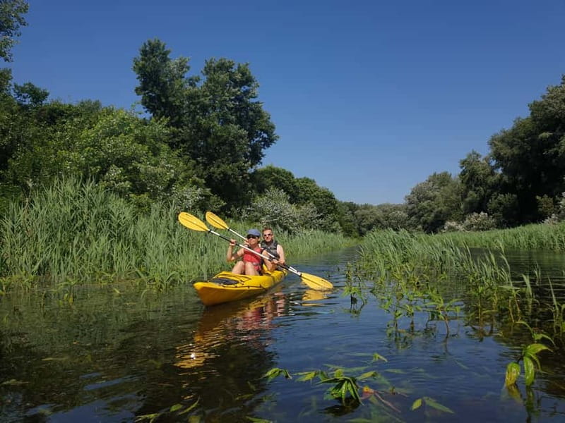 Belgrade: Great War Island Kayak Adventure - Paddling the Danube loop: promenade views and the Millennium Tower angle