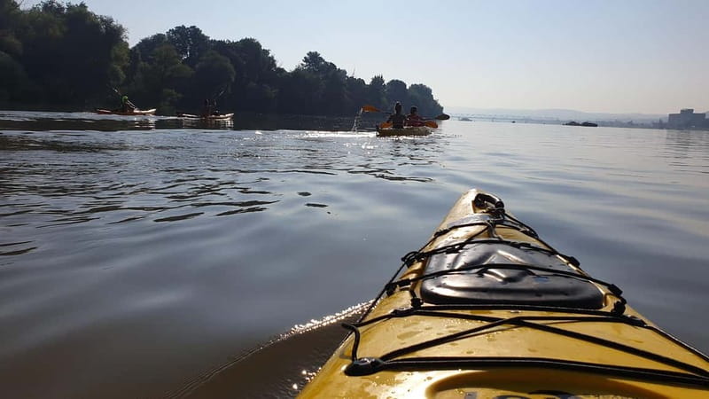 Belgrade: Great War Island Kayak Adventure - Should you book this Great War Island kayaking adventure?