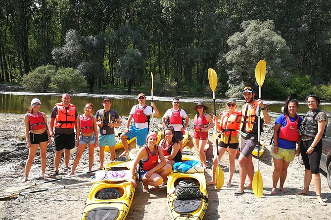 Belgrade War Island Kayak Tour - Key things to know before you go