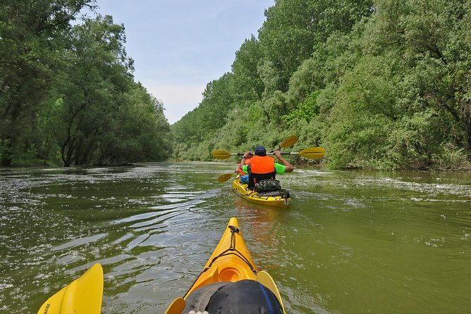 Belgrade War Island Kayak Tour - Birds, marshlands, and Veliki Galijaš: the stops people remember