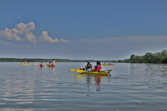 Belgrade War Island Kayak Tour - The skyline view feels different when you’re low on the water