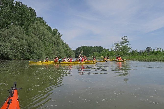 Belgrade War Island Kayak Tour - Practical value: equipment, safety, and making the most of your 3 hours