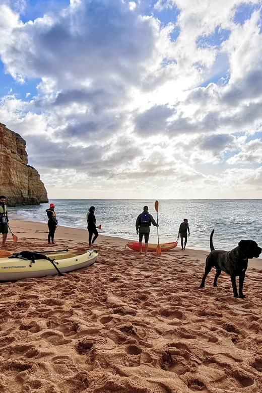 Benagil: Guided Kayaking Tour to the Benagil Cave - When Conditions Change: Rough Water, High Tide, and Safety Calls