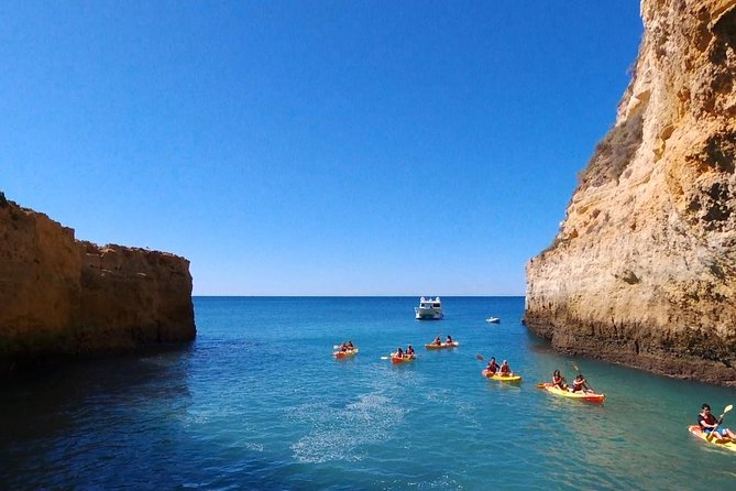Benagil Kayak Tour On Board a Fantastic Catamaran - Price and Value: Is $46.34 Worth It for Benagil?