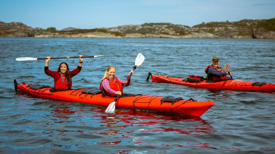 Bergen: Øygarden Islets Guided Kayaking Tour - Key highlights to look for on your Øygarden kayak day