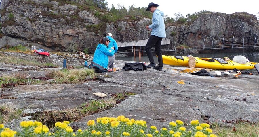 Bergen: Øygarden Islets Guided Kayaking Tour - Getting to the water: pickup that actually saves your time