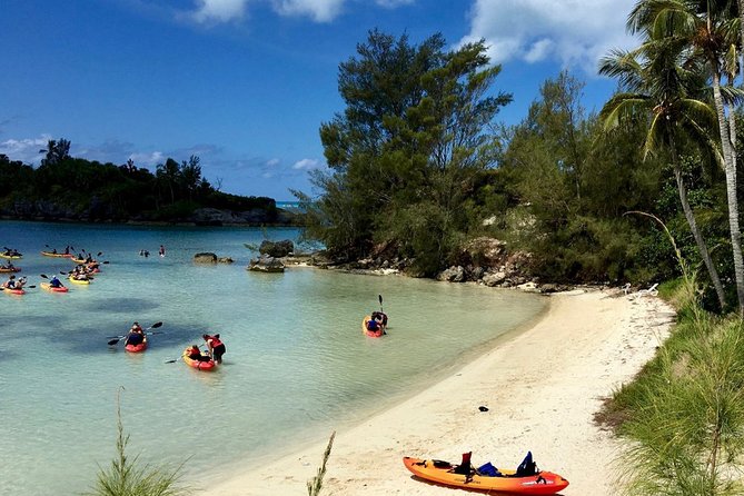 Bermuda Kayak Eco-Tour - Price and Value: Is $116.67 Worth It in Bermuda?