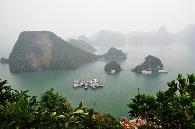 Best Halong 5 star Day Trip, inclusive,buffet,cave,kayak,transfer - Key Things I’d Put on Your Radar
