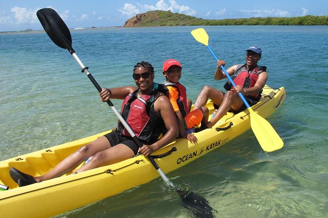 Best of Mangrove Lagoon Kayak, Hike and Snorkel Adventure with Picnic Lunch - A Five-Hour Combo: Mangroves, Cliffs, Blowhole, and Reef Snorkel