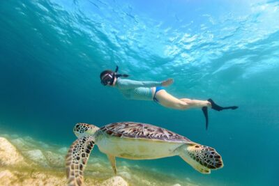 Best of Mangrove Lagoon Kayak, Hike and Snorkel Adventure with Picnic Lunch - Paddling Through Cas Cay and the Six-Square-Mile Marine Sanctuary