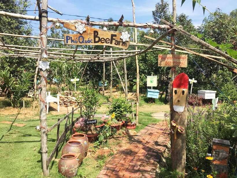 Best Seller Northern Phu Quoc & Kayak Aventure with lunch - Northern Phu Quoc, Packed Into a Calm 8 Hours