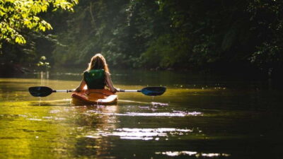 Best Seller Northern Phu Quoc & Kayak Aventure with lunch - Morning Pickup (Duong Dong) and the Bee Farm Start