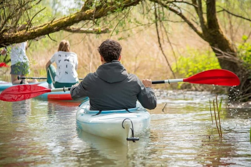 Biesbosch: Kayak Rental with Route Map and Life Jacket - Key things I’d focus on before you go