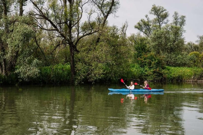 Biesbosch: Kayak Rental with Route Map and Life Jacket - Route map vs. free exploration: how to use the Biesbosch at your pace
