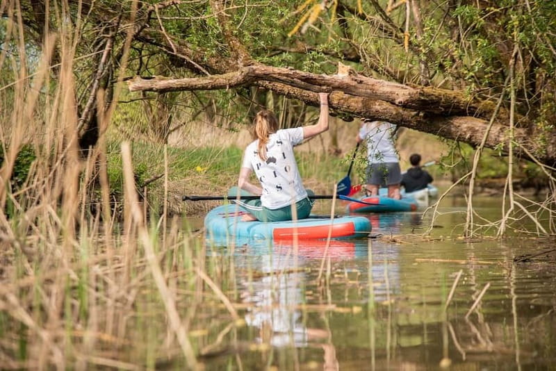 Biesbosch: Kayak Rental with Route Map and Life Jacket - Should you book this Biesbosch canoe rental?