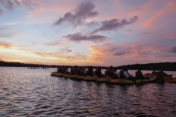 Bio Bay Kayak Tour in Fajardo - What’s Included (So You Don’t Waste Time Thinking About Gear)