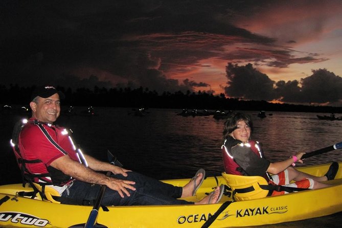 Bio Bay Kayak Tour in Fajardo - What the Mangrove Night Feels Like (and Why It Matters)